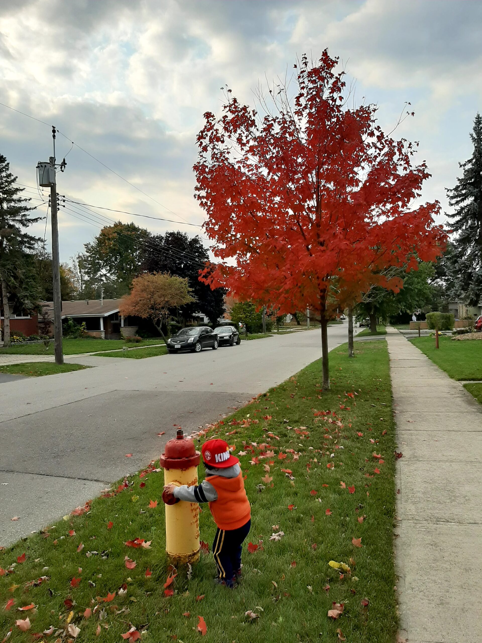 toddler playing on a fire hydrant next to a red tree